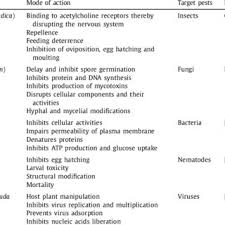 As such, a pathogen can be one of many types of microorganisms or. A Model Illustrating Differences Between Synthetic Pesticides And Download Scientific Diagram