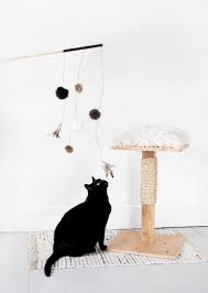 Diy Cat Toy Themerrythought Cat Diy Diy Cat Toys Homemade Cat Toys