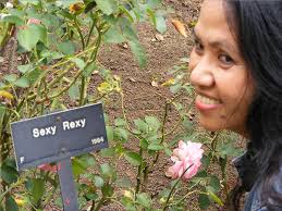 YSAC at the Huntington Library