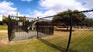 Mar 28, 2012 · huskies generally don't do well with small pets, whether dog or cat, which they react to as if it's a rabbit. Siberian Husky Climbing A 6ft Fence Youtube