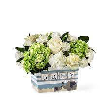 Maybe you would like to learn more about one of these? Ftd Darling Baby Boy Bouquet Ashland Addison Florist Co