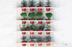 Kaktus hias yang cukup unik dan dapat hidup didalam ruangan dengan media pot sangat pas buat hiasan ruangan rumah kamu. 7 Inspirasi Desain Rak Tanaman Hias Bikin Tanaman Makin Cantik