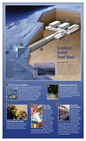 Svalbard Global Seed Vault Infographic Seed Vault Svalbard Norway Svalbard