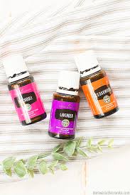 Mix 12 to 15 drops of peppermint essential oil with one part dishwashing liquid and three parts water in a spray bottle. Essential Oils As Mosquito Repellent Don T Waste The Crumbs