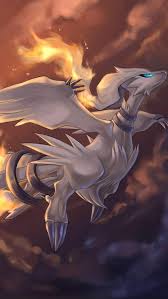 Black And White Kyurem Wallpaper Reshiram Cool Pokemon Wallpapers Pokemon Dragon Pokemon Rayquaza