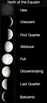 Lunar Cycles The 8 Phases Zodiac Arts Zodiac Arts