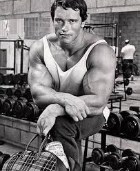 A Young Arnold Arnold Body Aesthetics Bodybuilding Old Bodybuilder