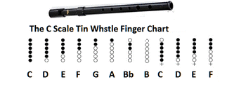 Learn How To Play The Tin Whistle Easy To Follow