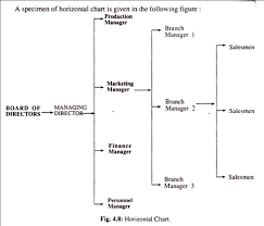 Organisation Chart Meaning And Types With Diagram