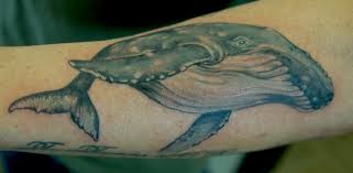 Memory of the present, encouragement for my future self. Humpback Whale By Shawn Hebrank Tattoonow