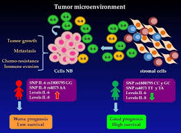 Association of Genetic Polymorphisms and Serum Levels of IL-6 and IL-8 with  the Prognosis in Children with Neuroblastoma