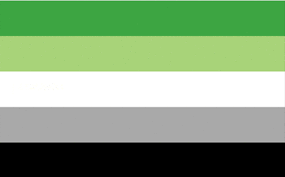 Grey and black represents the aromantic spectrum, and aromantics regardless of sexual orientations. Explore The Spectrum Guide To Finding Your Ace Community Glaad