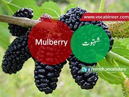Pin By Anila Saddique On Easy Way English Conversation Learning Learn English English Vocabulary