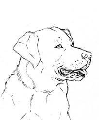 Ideal geeignet für bleistift, kohle, kreide und tinte. Pin By Cdbscuba On Dog Sketches Dog Drawing Simple Dog Sketch Puppy Coloring Pages