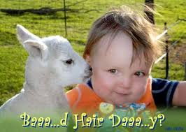 Bulletin 211, July 2, 2006