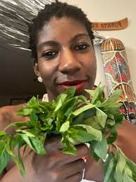 Chocolate mint plants growing in northern Michigan