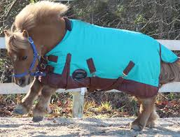 Choosing a blanket for your horse can be overwhelming. Horse Blankets Chicks Discount Saddlery