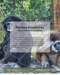 Image result for monkey caged