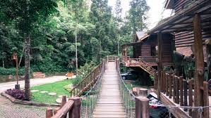 Rumah pohon itu adalah inovasi fasilitas penginapan yang dilakukan pihaknya dengan. Rumah Pohon Taman Safari Cisarua Bogor Almazia Co