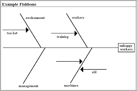 Fishbone + ishikawa = fishikawa! Total Qualitatsmanagement Ishikawa Or Fishbone Diagrams