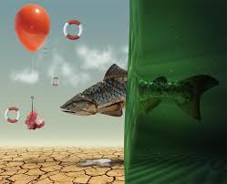 Photo manipulate a magical shoe house scene. Create Surreal Photo Manipulation Desert Fish Photoshop Tutorials