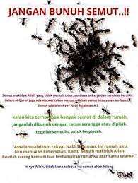 Nah bagi yang belum hafal doa setelah wudhu berikut ini adalah bacaan doa setelah wudhu. Kenapa Rasulullah Saw Melarang Membunuh Semut Inilah Sebabnya Yang Ramai Tak Tahu Ohcewek
