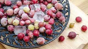 Daneben liefern sie auch folsäure, wertvolle mineralstoffe sowie sekundäre pflanzenstoffe. Stachelbeeren Einfrieren So Geht S Ganz Einfach Brigitte De