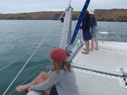 Find what to do today, this weekend, or in august. Megisti Sailing In Wellington My Guide Wellington