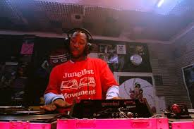 The 20 Best Jungle Mixes You Can Listen To Online Lists