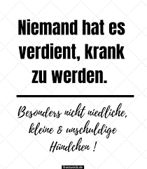 22 Gute Besserung Spruche Fur Hunde Finestwords