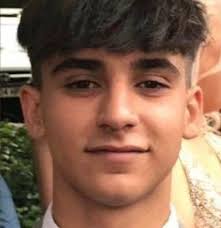 Teenager died instantly after tripping and landing