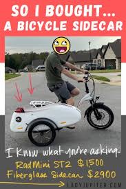 Image result for bicycle sidecar