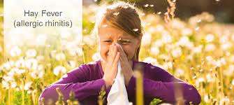 Hay Fever Parkside Hospital