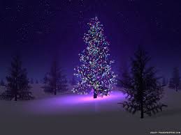 This tree that is the physical presence of every christmas lover's mind 10. Beautiful Christmas Tree Tony S Book World