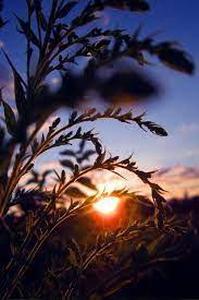 Pin By Alexandra Fuller On Etsy Photography Spotlight Nature Photography Landscape Photography Nature Pictures