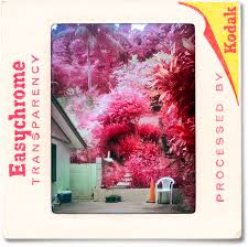 It was directed by frank marshall and stars laura linney, dylan walsh. Easychrome The Diy Aerochrome Color Ir Point Shoot