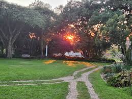 Image result for Heywoodia lucens