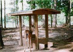 Kcmb Kansas City News Deer Feeding In Winter What To Feed Deer Deer Feeders Deer Feeder Plans Deer