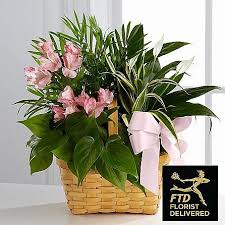Introducing Prayers For Departed Soul Bouquet Same Day Funeral Flowers Delivery Condolence Flowers Flowers Funeral Flowers Peace Lily Plant Sympathy Flowers