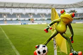 Deutschland unterliegt frankreich mit 0:1. Frosch Fussball Lustig Kostenloses Foto Auf Pixabay