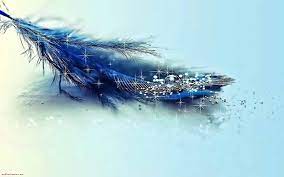 Free Magic Desktop Wallpaper Hd Wallpapers Download And New 3d Pictures Feather Wallpaper Background