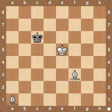 This gets it's name by the fact, that the king is very near to the enemy king and therefore is able to defend or support his own queen in checkmating. Two Bishops Checkmate The Chess Website