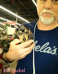 Daddy Don teaching Kei Teckel early about the adventures of shopping 🛍  at#TractorSupply #nationalpuppyday