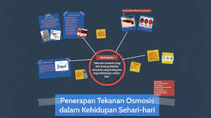 Semakin dalam, tekanan hidrostatisnya semakin besar. Penerapan Tekanan Osmosis Dalam Kehidupan Sehari Hari By Ringgi Dwiputra