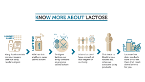 Here S What You Should Know If You Are Lactose Intolerant Times Of India