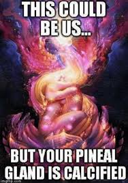 Immersing the pineal gland in darkness helps to improve its functioning. Is Fluoride Calcifying Your Pineal Gland A Myth Meditation Consciousness Enlightenment Spirituality Actualized Org Forum
