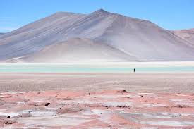 Notre dame de paris 1 sah asa asah abah bahas basah absah bahasa notre dame de paris 2 pakal kepal kapal kalap lapak palak kelapa kepala notre dame de paris 3 kura urea alur kera reka rela kelar keluar notre dame de paris 4 acak kaca naga kang akan agak angka kacang notre dame de paris 5 arek kere eram merek merak mekar rekam mereka notre dame de paris 6 peta tema apem empat tempa tetap tepat tempat notre dame de paris 7 penat paten palet telan nepal laten pelan planet notre dame de paris 8 n. On The Map Off The Grid A Journey Through The Atacama Desert Suitcase Magazine