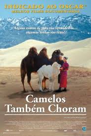 With the assistance and intervention of the family, a rare this is the mother camel's first calving. The Story Of The Weeping Camel Photos The Story Of The Weeping Camel Picture Gallery Famousfix