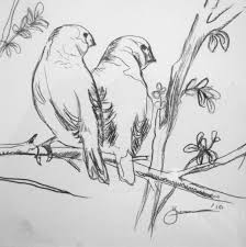 Sketch Bird On Branch Drawing Bird Sketch 2 Bird Drawings Drawing Illustrations Art Pages
