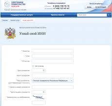 Uznat Inn Fizicheskogo Lica Po Pasportu Onlajn Mamayurist Ru